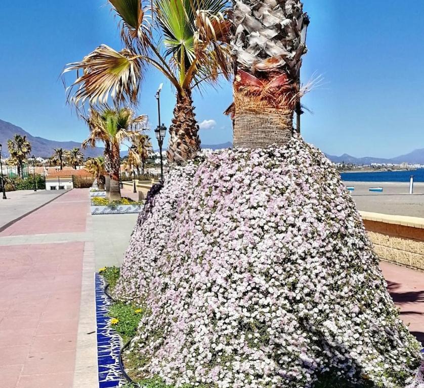 28 Mikonos Playa In Puerto De La Duquesa 2 Bed 2 Bath Apartment Ideally Located To The Beach & Marina Castillo de Sabinillas المظهر الخارجي الصورة